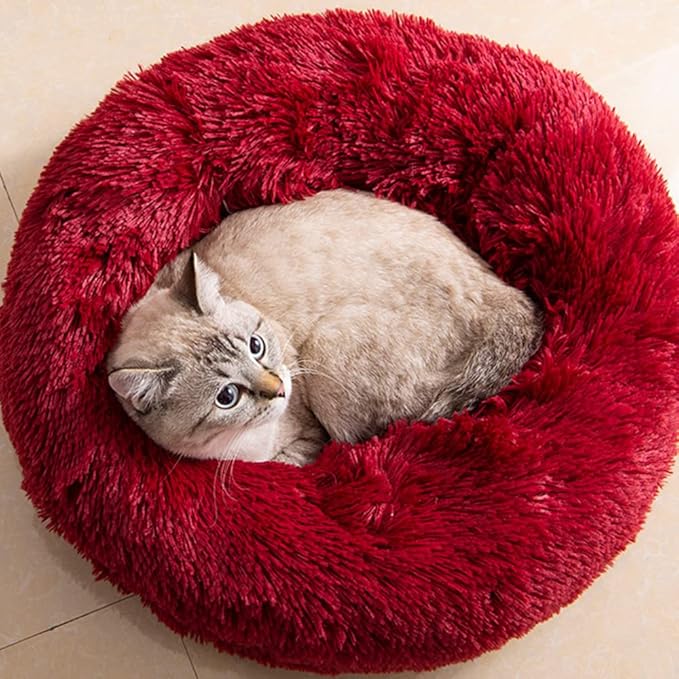 Cat Beds for Indoor Cats 20/24 inches,