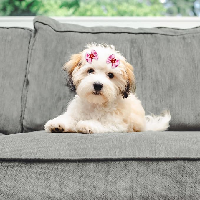 60pcs Dog Hair Bows 30 Beautiful