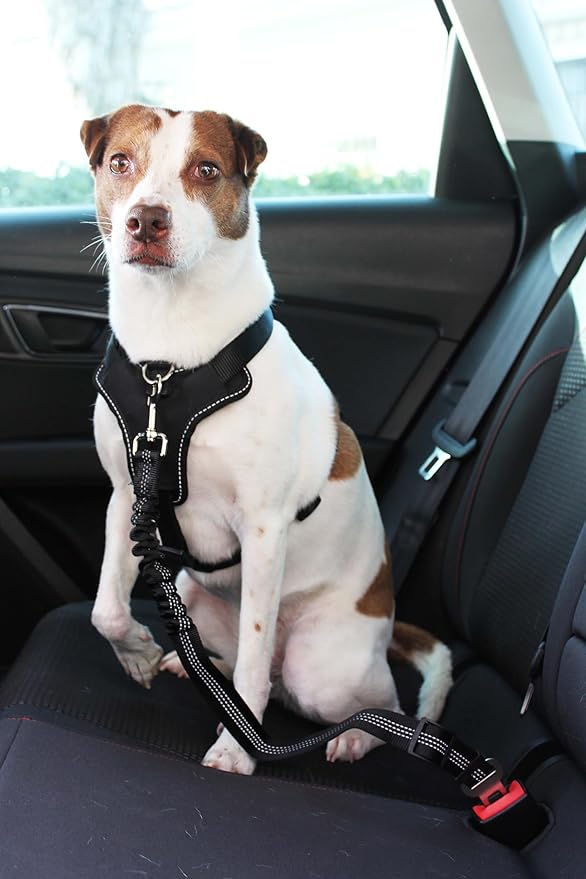 2 Piece Set Adjustable Harness for Dog seat Belt for Large and Small Dogs. Retractable Cup Useful for Them. Dog seat Belt for car