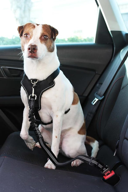 2 Piece Set Adjustable Harness for Dog seat Belt for Large and Small Dogs. Retractable Cup Useful for Them. Dog seat Belt for car