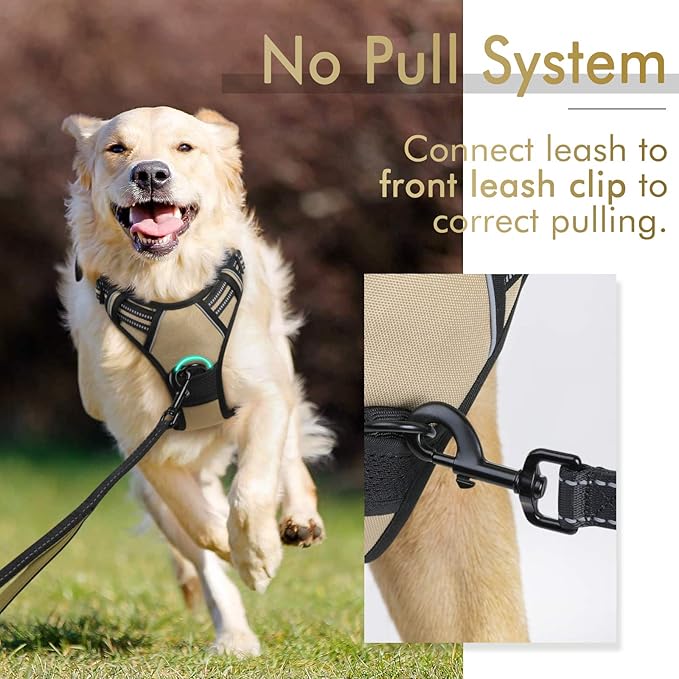 rabbitgoo Dog Harness, No-Pull Pet Harness with 2 Leash Clips, Adjustable Soft Padded Dog Vest, Reflective No-Choke Pet Oxford Vest with Easy Control Handle for Medium Dogs, Beige, M