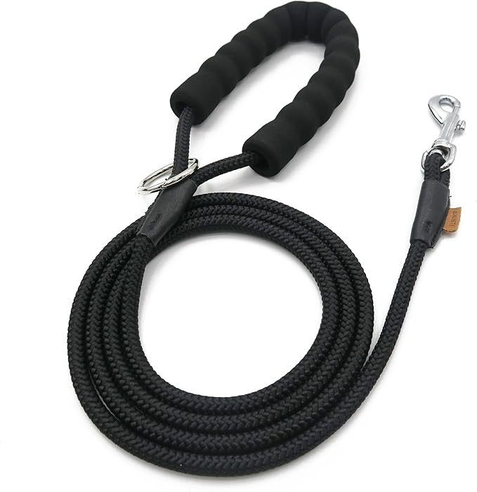 Dog Leash ((1/3") - 6FT, Black)