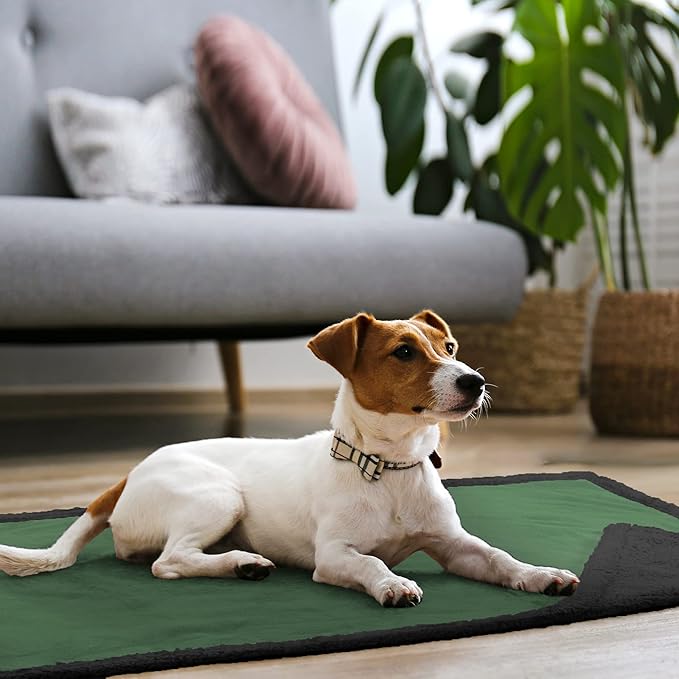Kritter Planet Waterproof Sofa Blanket for Dogs