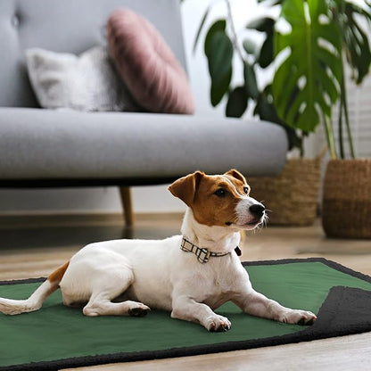 Kritter Planet Waterproof Sofa Blanket for Dogs
