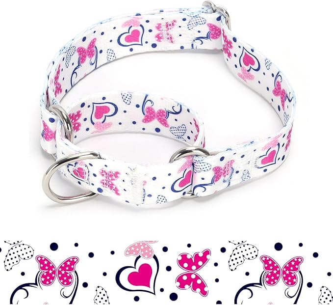 Martingale Dog Collars - Flower Multicolor Cute Patterns, Adjustable Nylon Training Dog Collar Suitable for Boy and Girl Dogs Medium Large Dogs (19, L)