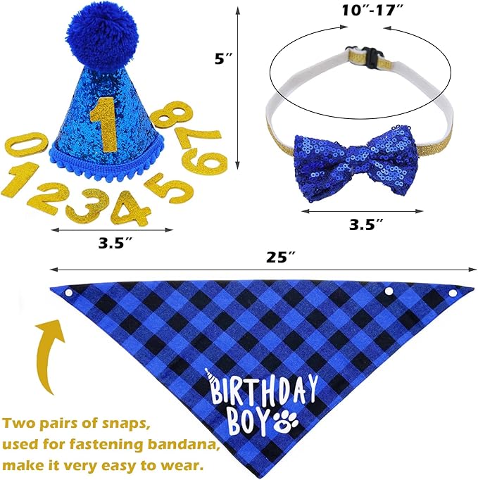 Birthday Plaid Dog Bandana with Button