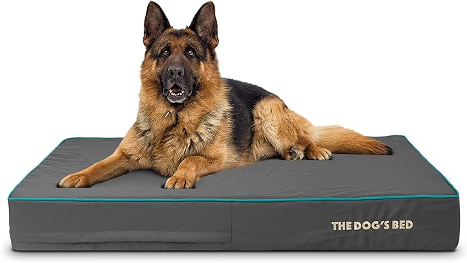 The Dog’s Bed Orthopedic Memory Foam Dog Bed 46x28, Pain