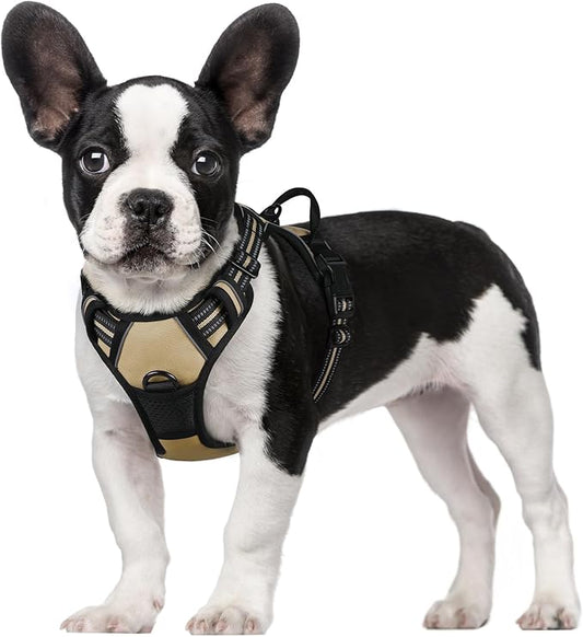 rabbitgoo Dog Harness, No-Pull Pet Harness with 2 Leash Clips, Adjustable Soft Padded Dog Vest, Reflective No-Choke Pet Oxford Vest with Easy Control Handle for Small Dogs, Beige, S