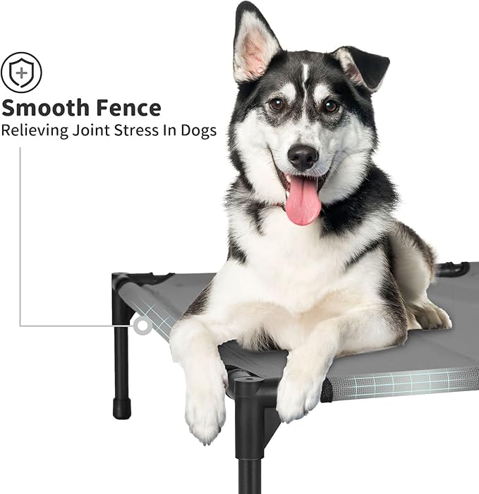 B0D5GYWNRY for Large Dogs