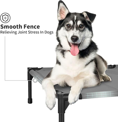 B0D5GYWNRY for Large Dogs