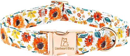 Lionheart glory Dog Collar Sunflower Print Dogs Collar