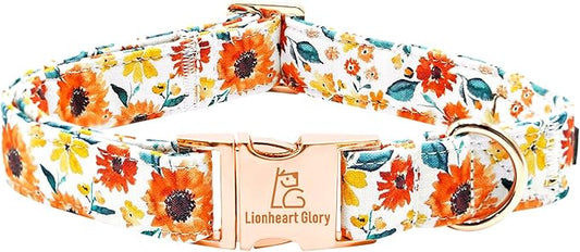 Lionheart glory Dog Collar Sunflower Print Dogs Collar