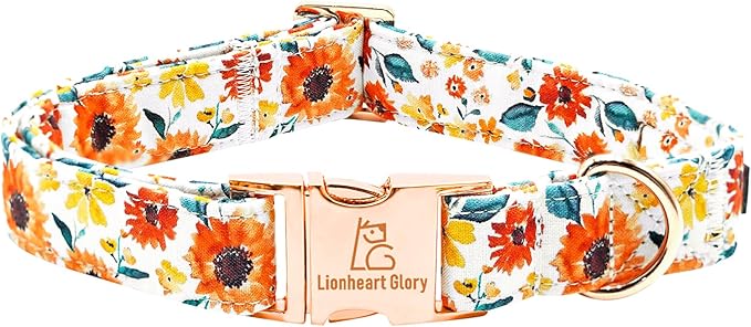 Lionheart glory Dog Collar Sunflower Print Dogs Collar
