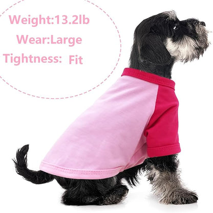 2 Pieces Dog Shirt for Medium Dogs Summer