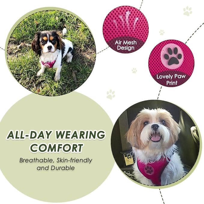 SlowTon Dog Seat Belt Harness for Car, Dog Car Harness Adjustable Mesh Breathable & Dog Seatbelt Safety Tether with Elastic Bungee for Small Medium Large Pets(Fuchsia, Double Clip, XS)