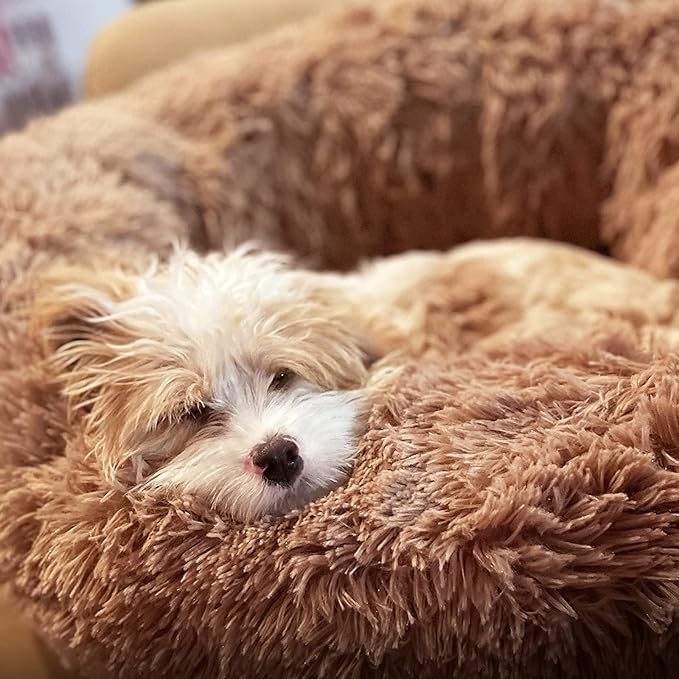 nononfish Small Puppy Beds for Small Dogs Washable 19 Inches