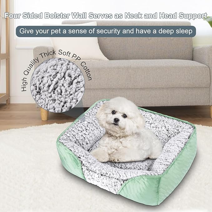 Dog Beds for Small Dogs