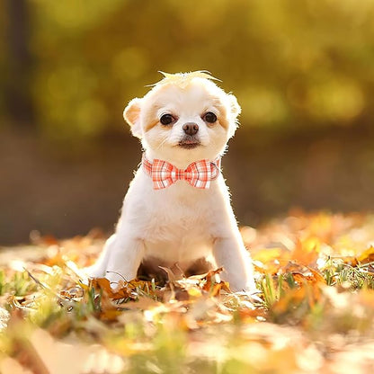 ARING PET Halloween Dog Collar-Cute Orange Plaid Dog Collar with Bow