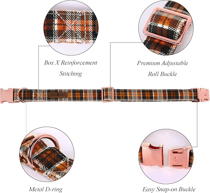 Lionet Paws Halloween Dog Collar with Bowtie 7-11in