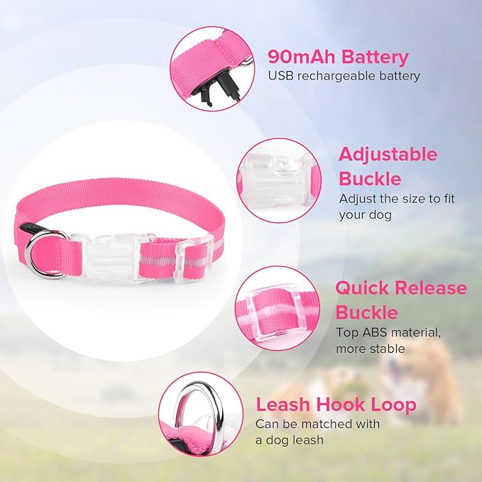 Led Dog Collar for Night Walking