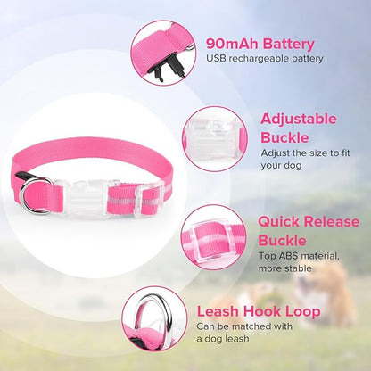 Led Dog Collar for Night Walking