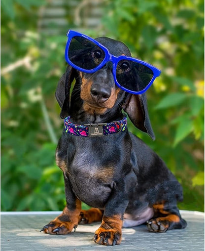 Lionheart glory Dog Collar