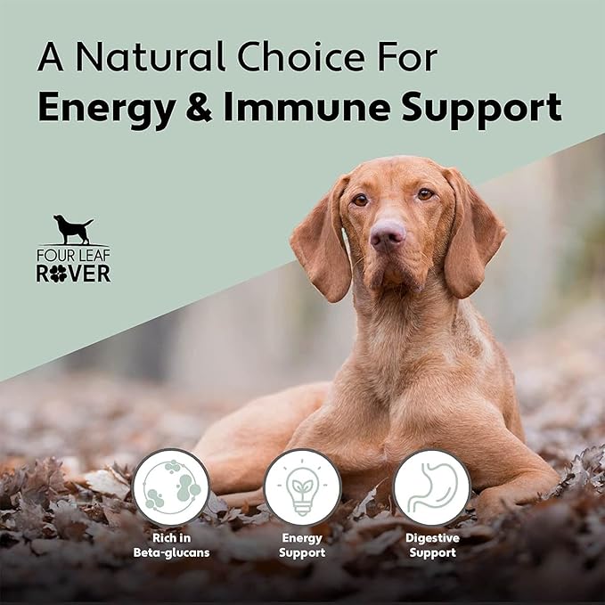 Turkey Tail Mushroom Extract - Critical Immune Support and Prebiotic for Dogs - 60 Day Supply, Depending on Dog’s Weight - Rich in Beta-Glucans - Vet Formulated