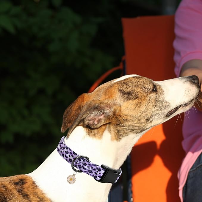 Leopard Patterns Dog Collar with Pendant