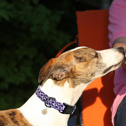 Leopard Patterns Dog Collar with Pendant
