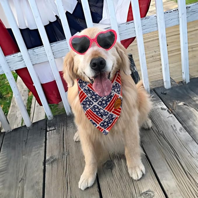 CROWNED BEAUTY 4th of July Patriotic Dog Bandanas Reversible Small 2 Pack DB121-S