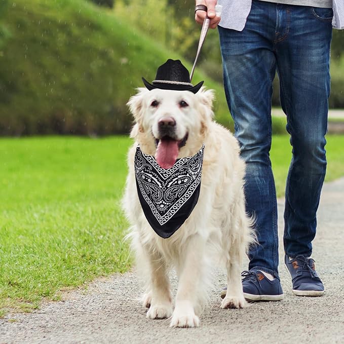 choyaxo Dog Cowboy Hat Dog Cowboy Costume for Small Pet Dogs Cat Cowboy Hat with Bandana Scarf Set Party Accessories (Black)