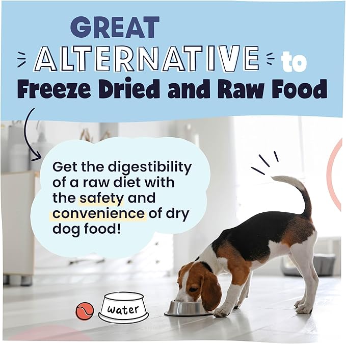 Pawstruck All Natural Air Dried Dog Food w/Real Beef - Grain Free, Made in USA, Non-GMO & Vet Recommended - High Protein Limited Ingredient Full-Feed - for All Breeds & Ages - 2.5oz Trial Bag