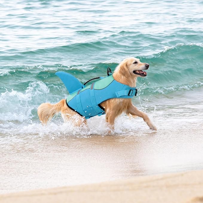 Queenmore Shark Dog Life Jacket