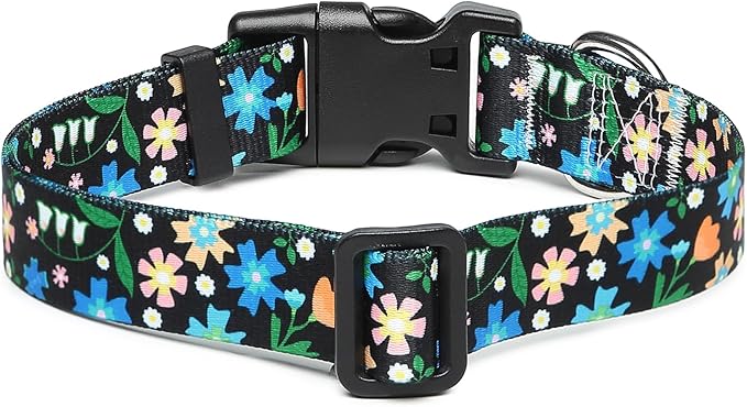 Adjustable Dog Collar with Patterns