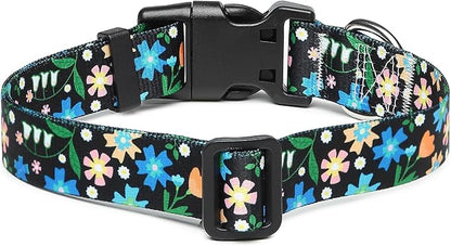 Adjustable Dog Collar with Patterns