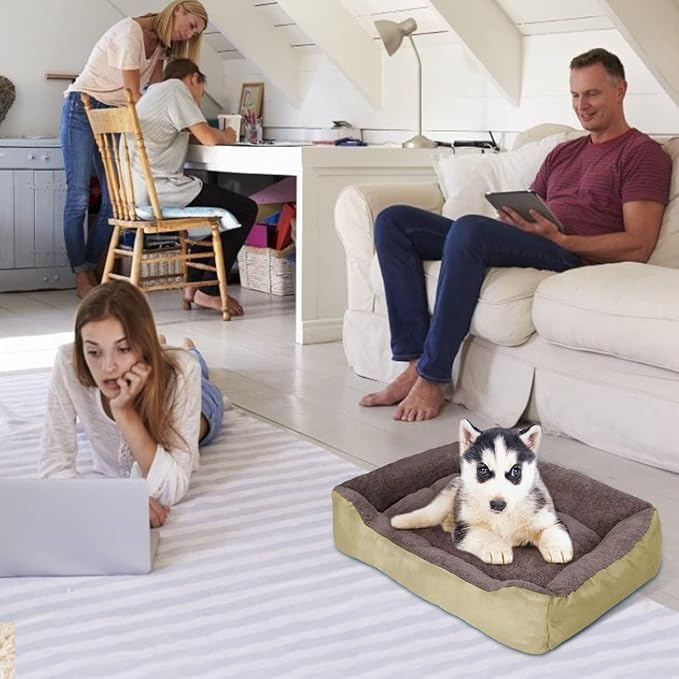 PUPPBUDD Dog Beds for Medium Dogs