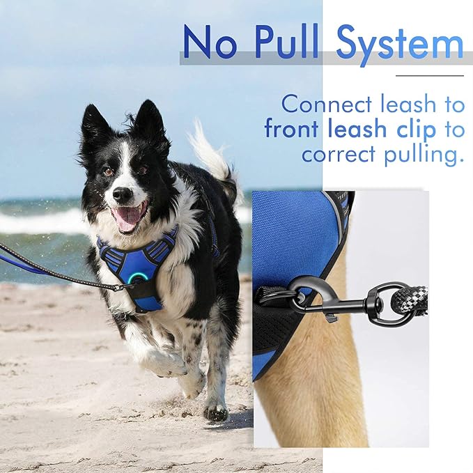 rabbitgoo Dog Harness, No-Pull Pet Harness with 2 Leash Clips, Adjustable Soft Padded Dog Vest, Reflective No-Choke Pet Oxford Vest with Easy Control Handle for Large Dogs, Dazzling Blue, XL