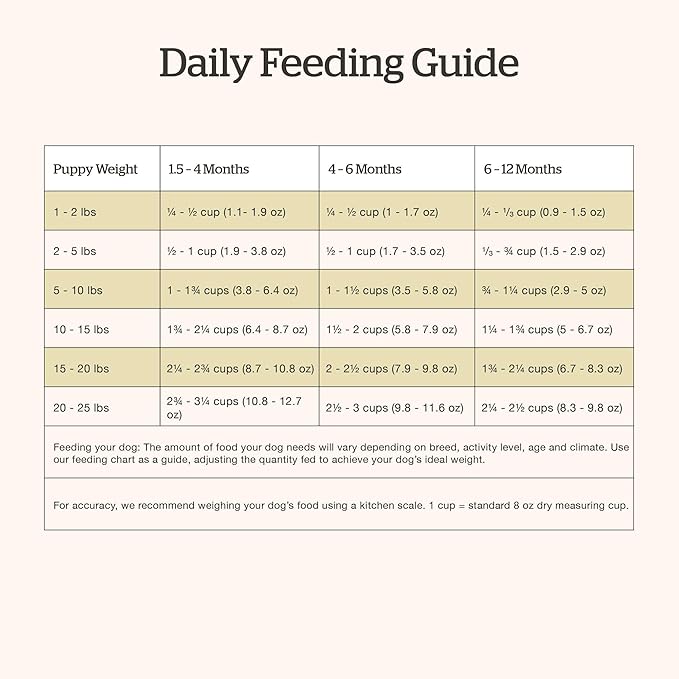 Now Fresh Grain-Free Dry Dog Food 3.5 lb