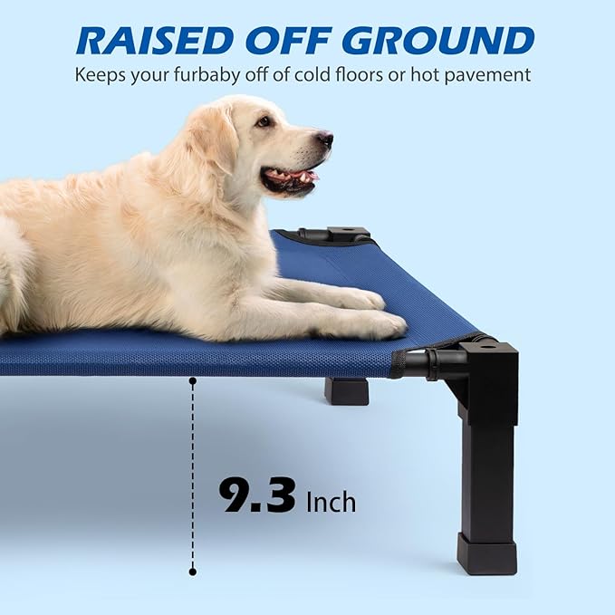 Cooling Elevated Dog Bed