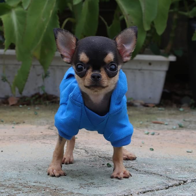 LOPHIPETS Lightweight Cotton Hoodie for Small Dogs – Hooded Sweatshirt for Chihuahuas Puppy and Toy Breeds-Blue/XXS