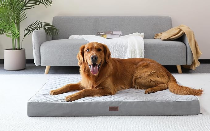 SunStyle Home Orthopedic Dog Beds for XX-Large Dogs