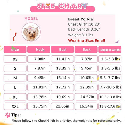 Dog Birthday Dress Birthday Hats Set Dog Clothes for Small Dogs Girl Puppy Birthday Princess Dresses Pet Cat Birthday Outfit (Birthday Dress Set