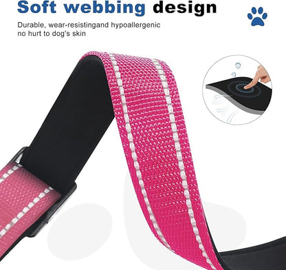 Reflective Martingale Dog Collars. Dog Collar with Quick