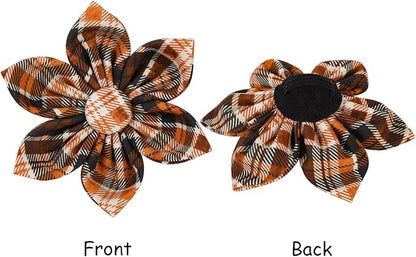 Lionet Paws Dog Collar with Flower 16-26in