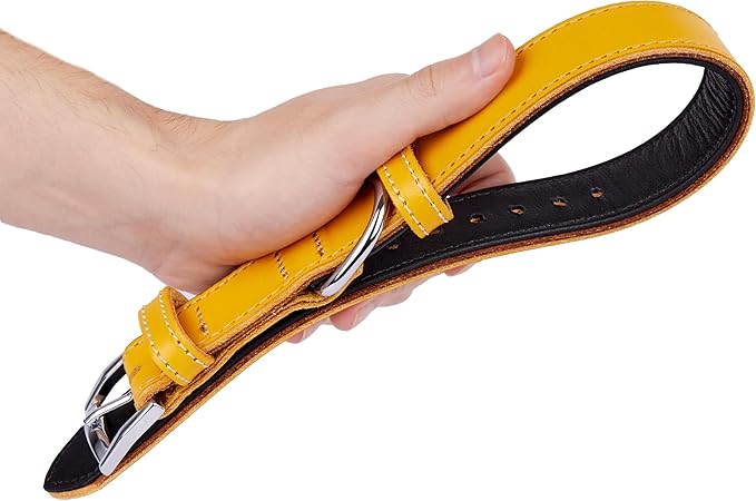 Soft Leather Dog Collar