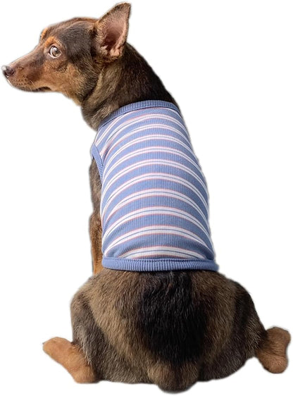 YQYS Dog Shirts Multi-Color Striped Cotton Vest for Small Dogs and Cats Puppy Clothes Teacup Dog Clothing Tank Top for Chihuahua Miniature Pinscher Blue XXSmall