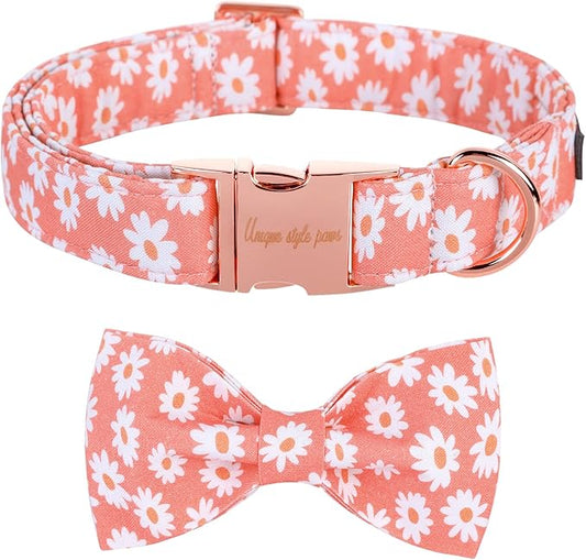 Unique style paws Dog Collar with Bow Tie