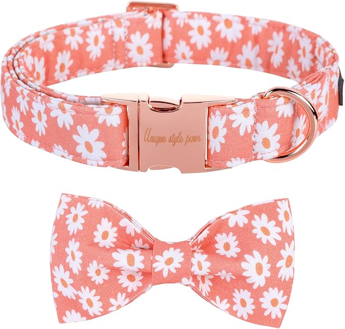 Unique style paws Dog Collar with Bow Tie