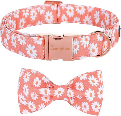 Unique style paws Dog Collar with Bow Tie