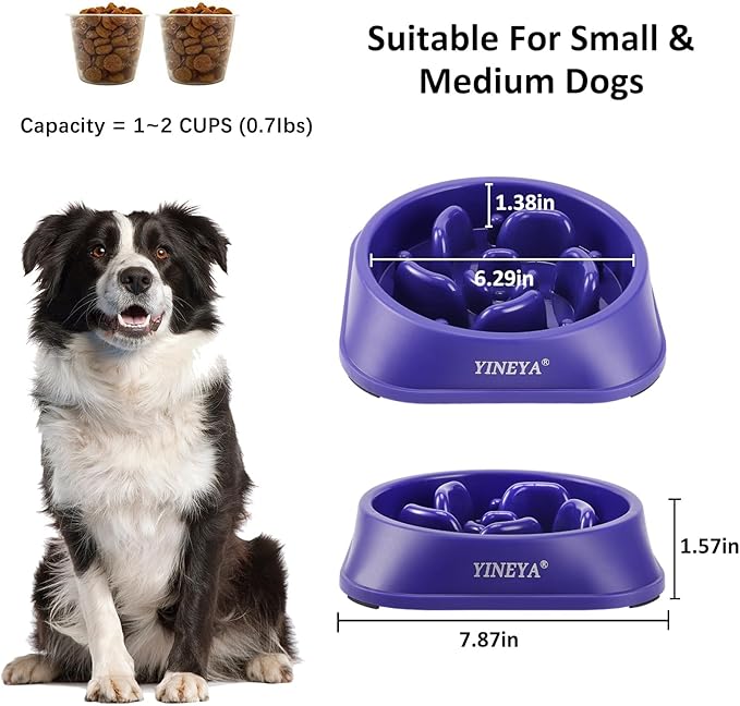 Slow Feeder Dog Bowls Large Breed, Dog Slow Feeder Bowl, Dog Food Bowls Slow Feeder, Dog Bowl Slow Feeder, Dog Bowl That Slow Down Eating(Purple)